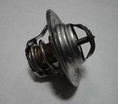 Polo Termostat ( Tüm Modeller )  050 121 113 C